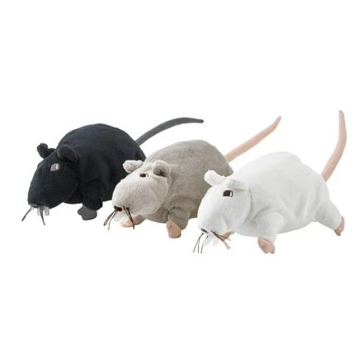 Leroy and fam